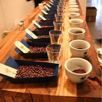 Průvodce kávovým světem - jak vybrat kávu