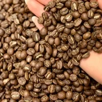 Průvodce kávovým světem - jak vybrat kávu