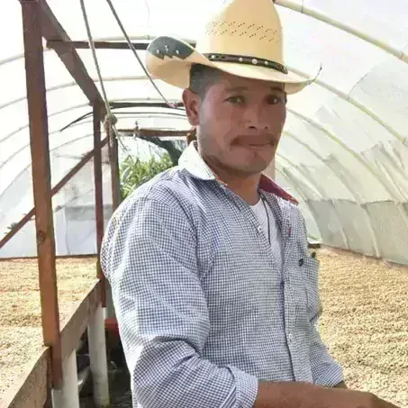 HONDURAS EL BENEFICIO BY JOSE YOVANY KÁVA ARABICA